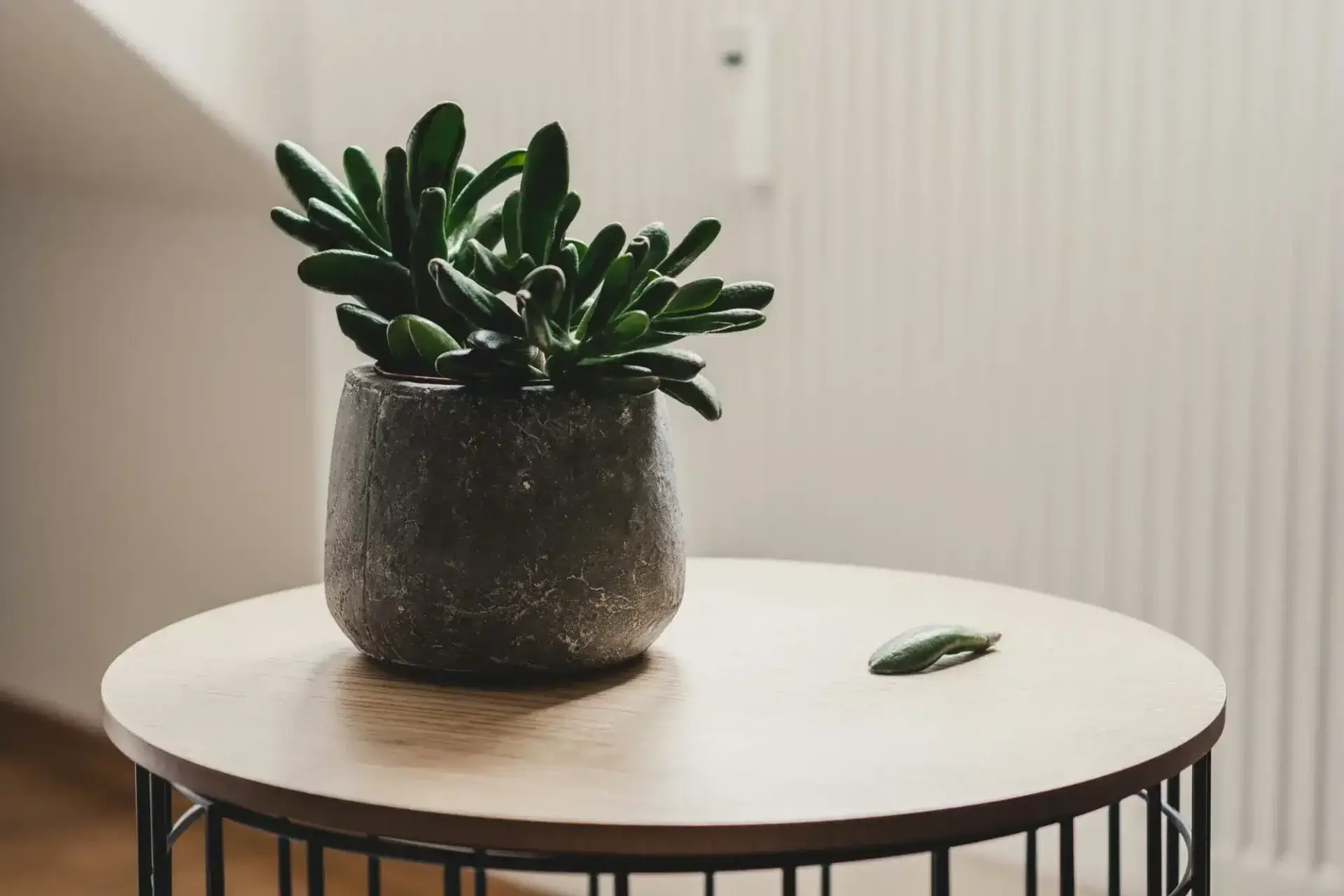 nick hillier AhAxCcVajHk unsplash