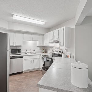 60 web or mls 7700 colquitt rd unit 4002 s1209 010