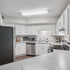 64 web or mls 7700 colquitt rd unit 4002 s1209 014